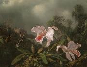 Martin Johnson Heade Jungle Orchids and Hummingbirds oil painting reproduction